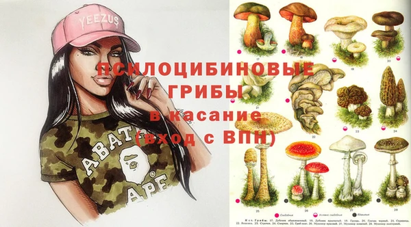дмт Горнозаводск
