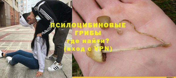 дмт Горнозаводск