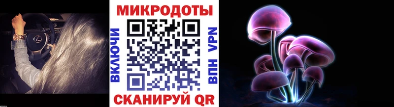 Купить  Коряжма  Псилоцибиновые грибы прущие грибы 